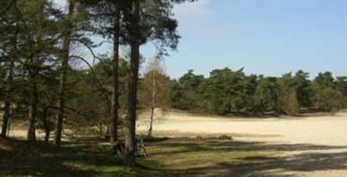 SE Wandelcafe Veluwe bij Nunspeet. Singles