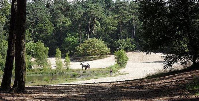 SE Wandelcafe Driebergen- Sprengenroute. Wandelen Singles 40+ 50+ 60+