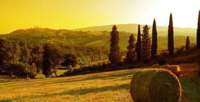 Adv. Singlereis Italie. Wandelen & cultuur Toscane. 8 dagen