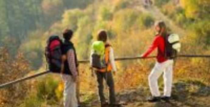 Adv. Single Reis Wandelen Eifelsteig Duitsland. Deel 2 van 4. Steinfeld- Hillesheim 5 dagen.