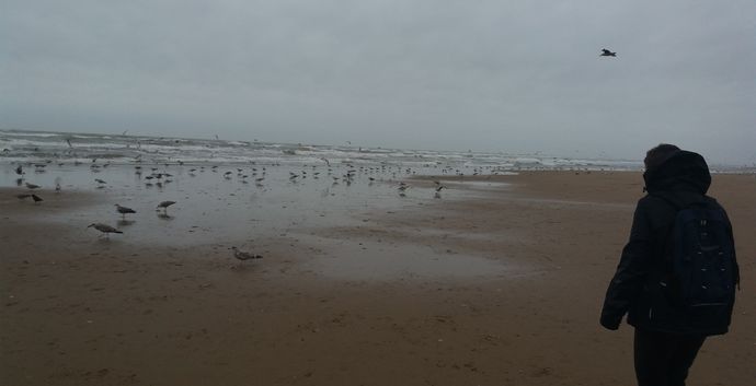 Pierewaaien Scheveningen