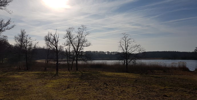 Wandelen Uddelermeerpad  (klompenpad ) te Uddel over 16 km. Bij Apeldoorn.