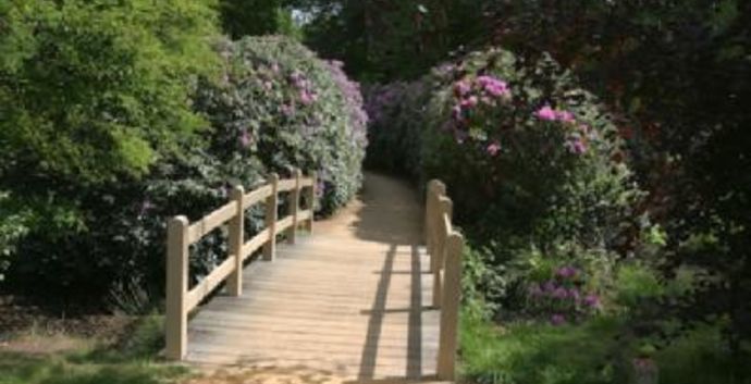 SE Wandelcafe Baarn Landgoed Groeneveld & De Vuursche. Singles 40+50+60+