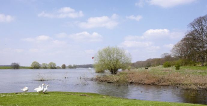 Stadswandeling Wageningen
