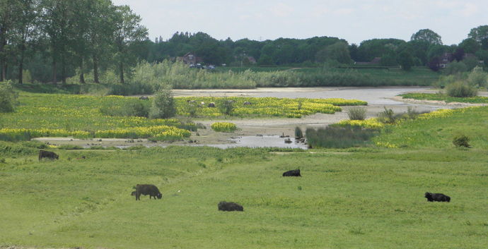 Wageningse Wandeling 13 km Gratis & Presentatie Boek 'Kracht van wandelen'.  