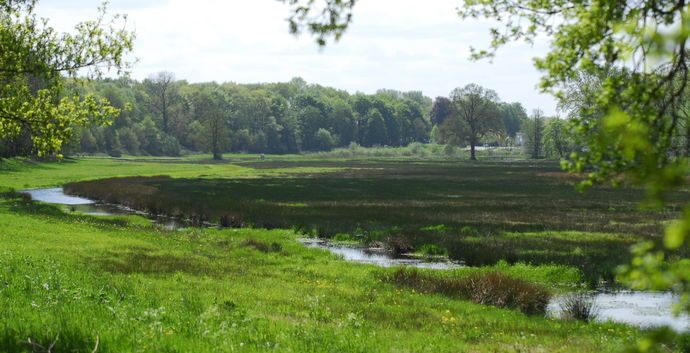 Wandelcafe Renkums Beekdal & beeldentuin &muziek. Wandelen Singles 40+50+60+.