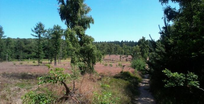 SE Wandelcafe 40+50+ Amerongen Amerongse Berg