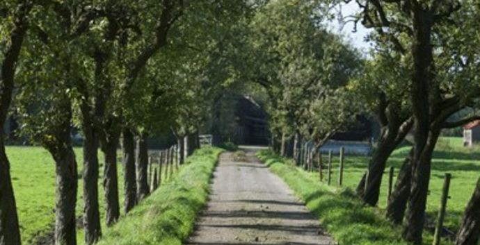 SE Wandelcafe  Leusden Achterveld. Wandelen Gelderse Vallei met singles