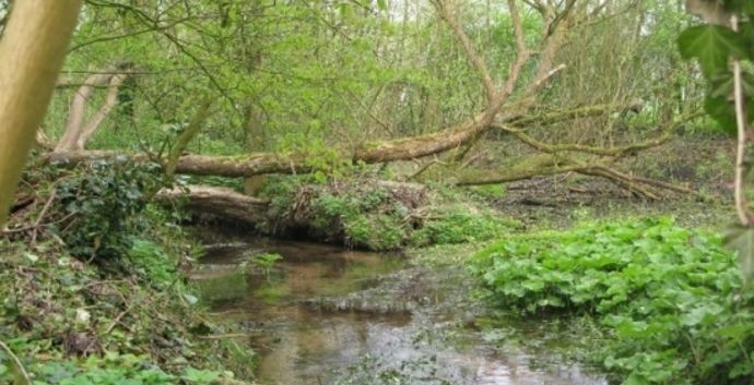 Wandeling : Beekbergerpad  13 km  te Beekbergen.