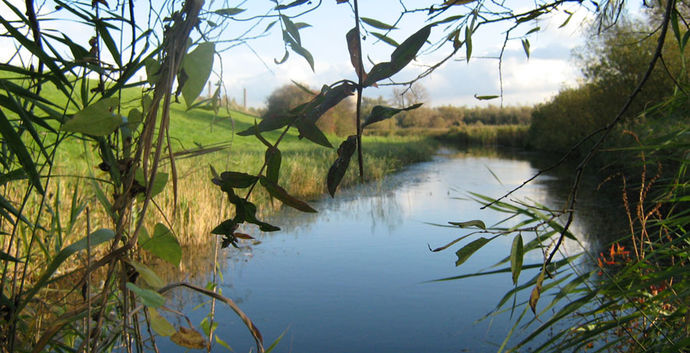 Herfstwandeling Biesbosch Dordrecht