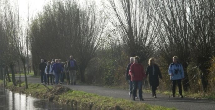 Wandelen Nootdorp Bieslandse Bos & Dobbeplas met singles!