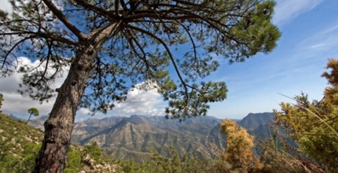 Adv. Singles wandelreis Spanje. Almijara Andalucie. 8 dagen.