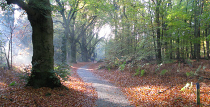 Wandeling  Oosterbeek - Wolfheze - Oosterbeek 11 km.