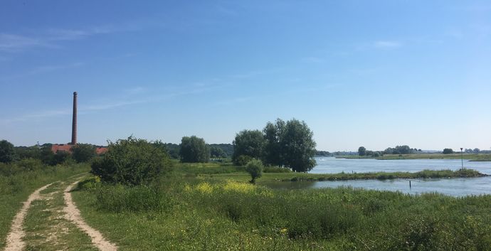 GAAT NIET DOOR SE  Wandelcafe singles  Wageningen. Uiterwaarden, bossen, arboretum.