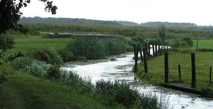 Wandelen Ijsselstein. Langs de Kromme Ijssel. Spreek af met singles!