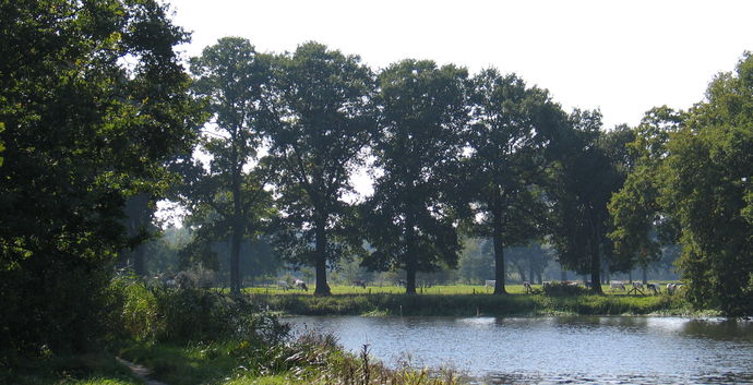 Tip. Wandelen Ijsselstein. Kromme Ijssel. Spreek af met je date/ singles!