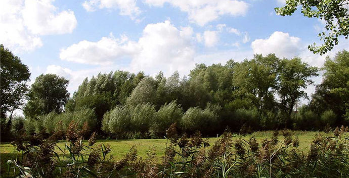 Wandeling door Eindhoven, Dommel en parken. Spreek af met je date/ singles!