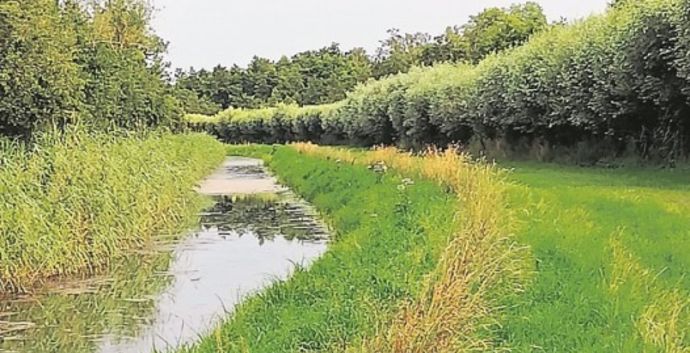 SE Wandelen Landgoed Voorstonden Brummen met singles & lunch Eerbeek.