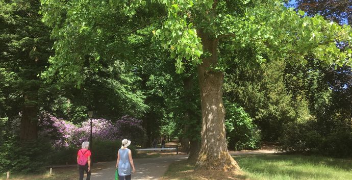 Wandelen singles Slot Zeist, beelden & Landgoederen e/o hapje eten Driebergen