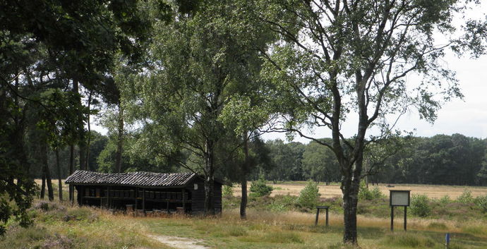 Wandeling Arcen Landgoed de Hamert & Lunch. Heide, duinen en bossen.