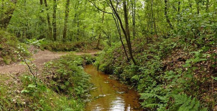 SE Wandelen singles Driebergen Landgoed Sparrendaal.
