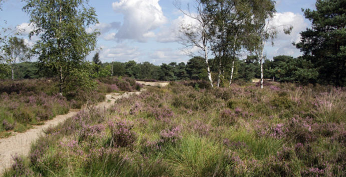 SE Wandelcafe Ede GEANNULEERD .