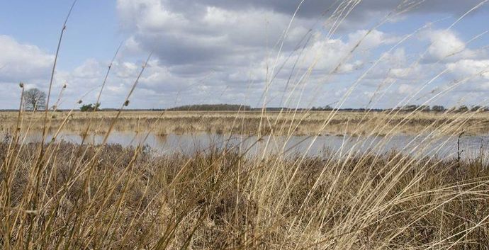 Winterwandeling Drente Hoogeveen 15 km