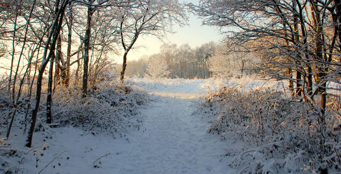 Winterwandeling Mookerheide 10 km