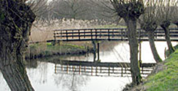 Winterwandeling Loetbos Lekkerkerk 10 km