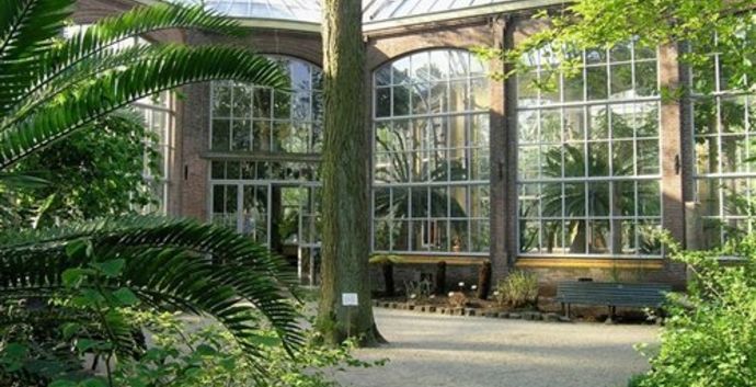 Tip! Wandel samen Koffierondje om de Hortus in Amsterdam.  Tip voor een date!