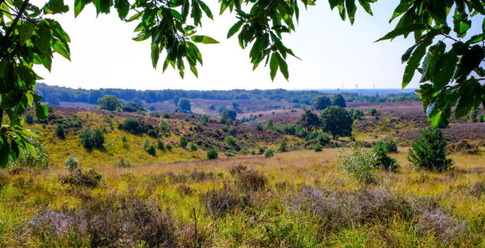 Naberpad Posbank , Kasteel Middachten en Rhederoord 13km te Rheden.