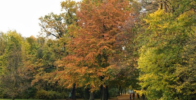 SE Herfstwandeling Wageningen. Singles 45+55+65+