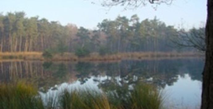 1e Kerstdag Singles wandeling Oiserwijkse Vennen GAAT NIET DOOR. Kerst singles 45+55+65+