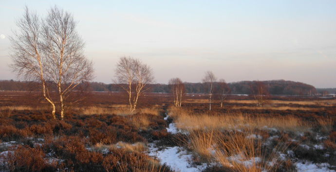 SE Wandelcafe Ede Ginkel & lammetjes! NIEUW Met singles 45+55+65+
