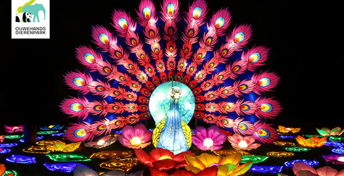 LightNight @Ouwehands dierenpark Rhenen. Spreek af met je date/ singles!