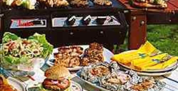 SE Midzomer bbq & danscafe singles Renswoude