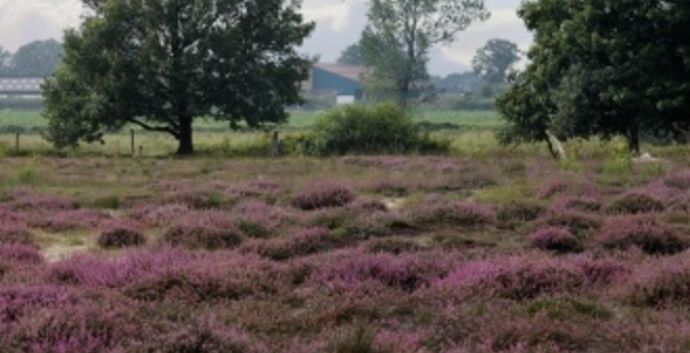 SE Wandelcafe Ede Ginkelse Heide. Singles 45+55+.