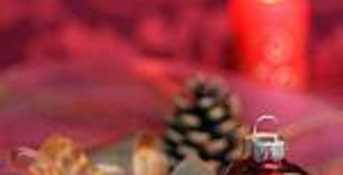 Singles Kerstweekend Veluwe. Kersdiner & Kerstparty. Singles 45+55+65+