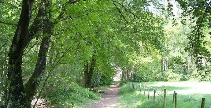 SE Wandelcafe Rhenen Grebbeberg en Laarsenberg. Wandelen singles 45+55+65+