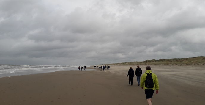 Wandelen strand en duinen Scheveningen