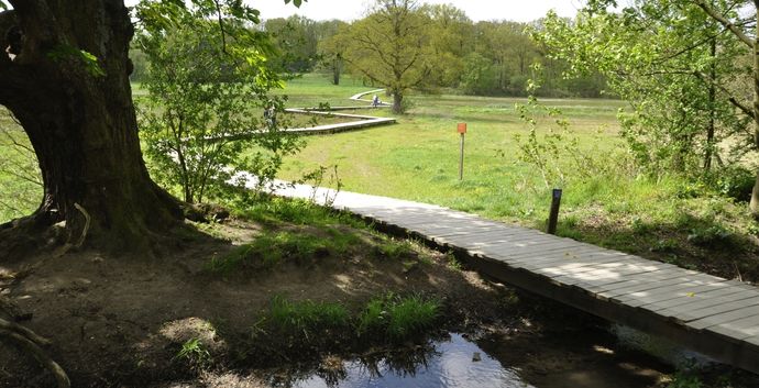 Zomers wandelcafe Renkums Beekdal Wageningen.