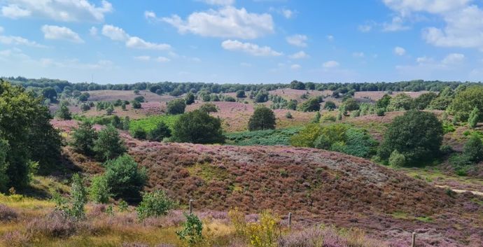 Wandeling 14 km veluwezoom