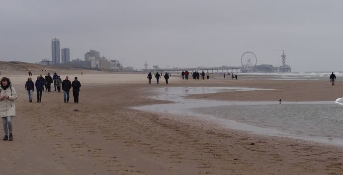 Wandelen strand en duinen Scheveningen