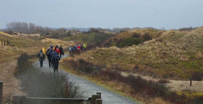 Wandelen strand en duinen Scheveningen