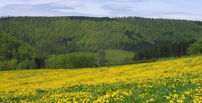 Pinksteren single weekend Sauerland