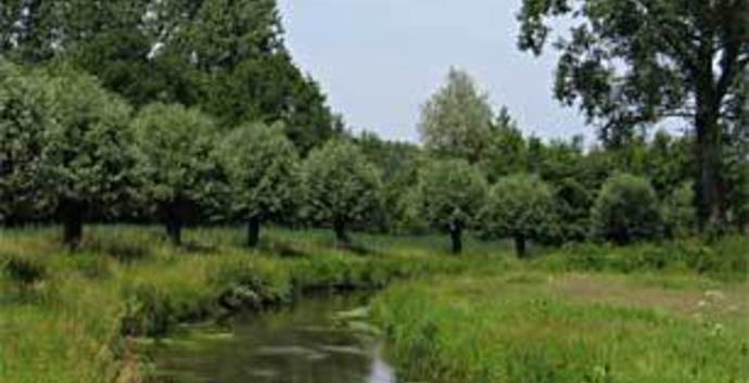 Wandelcafé Eindhoven Genneperparken. Singles 35+