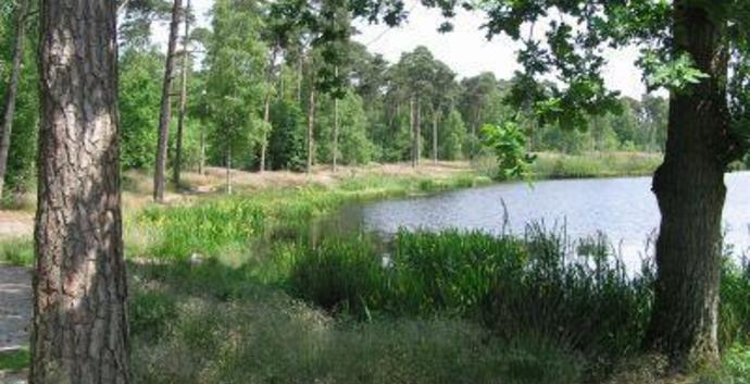 Wandelcafé Oisterwijkse Vennen.