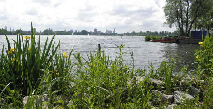 Wandelcafé Rotterdam Kralingse Plas. Singles 35+