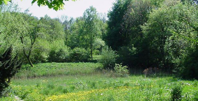 Wandelcafé Amsterdamse Bos. Singles 35+