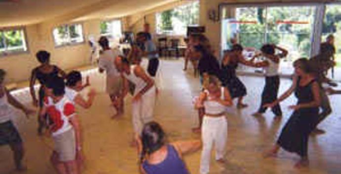 Biodanza & swingfeest voor singles, Arnhem